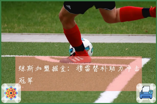 琼斯加盟掘金：穆雷替补助力冲击冠军